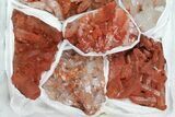 Lot: Natural, Red Quartz Crystal Clusters - Pieces #101534-1